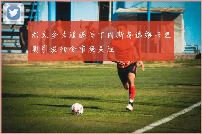 尤文全力追逐马丁内斯备选维卡里奥引发转会市场关注