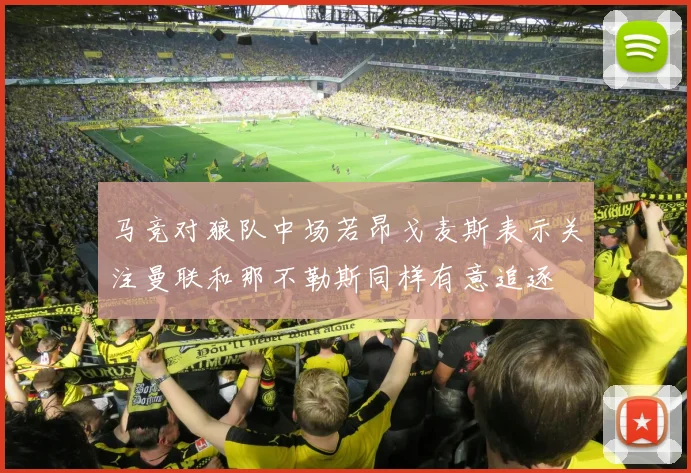 马竞对狼队中场若昂戈麦斯表示关注曼联和那不勒斯同样有意追逐